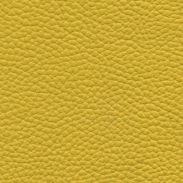 Lemon 3025