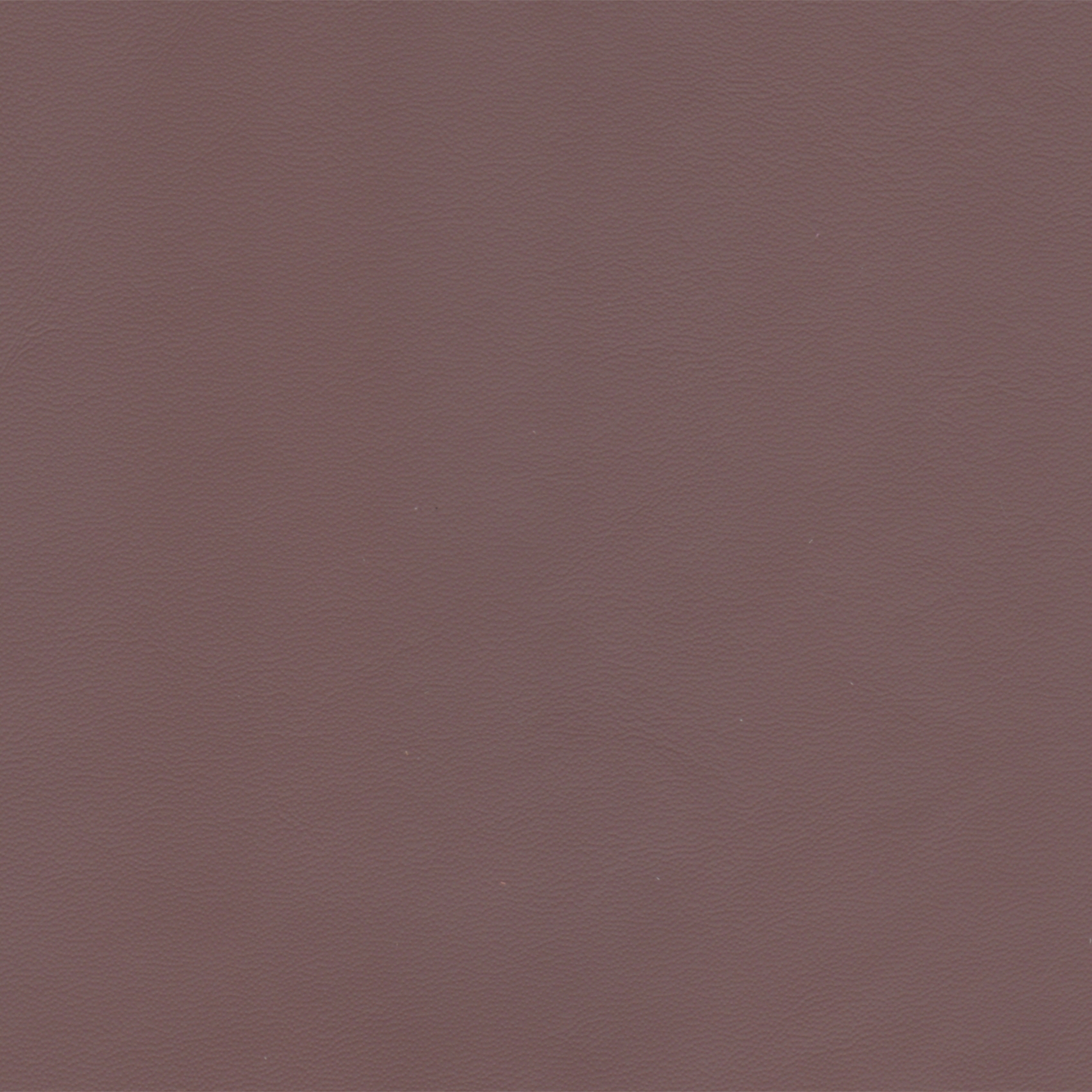 Grape 2027