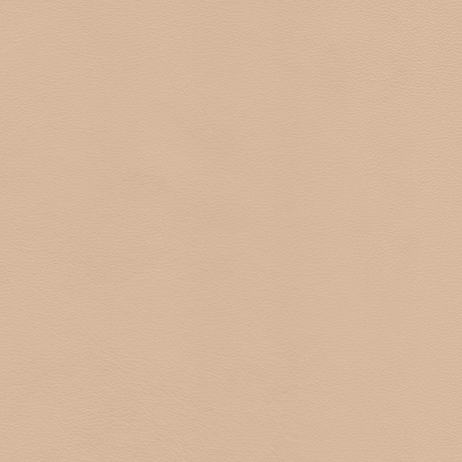 Nude 2033