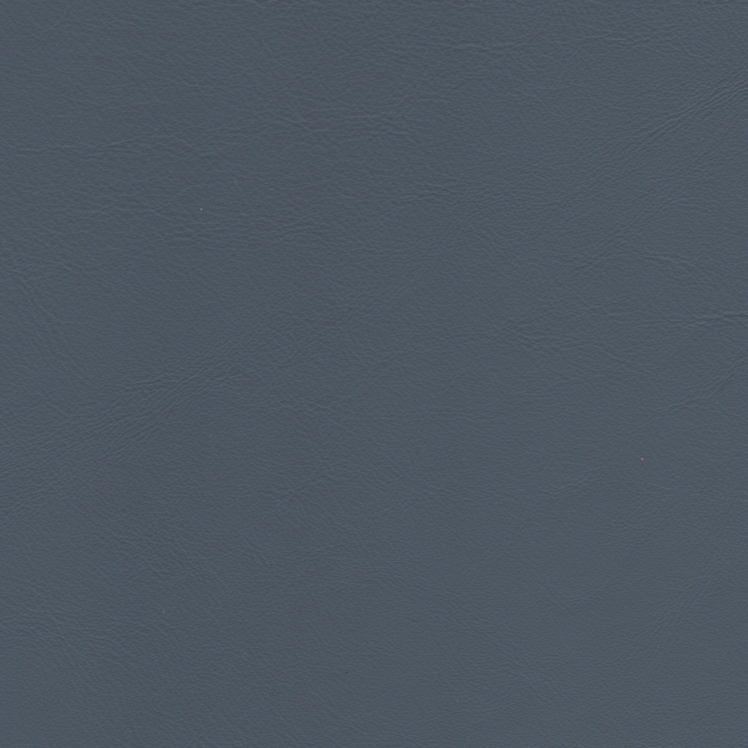 Deep blue 2029