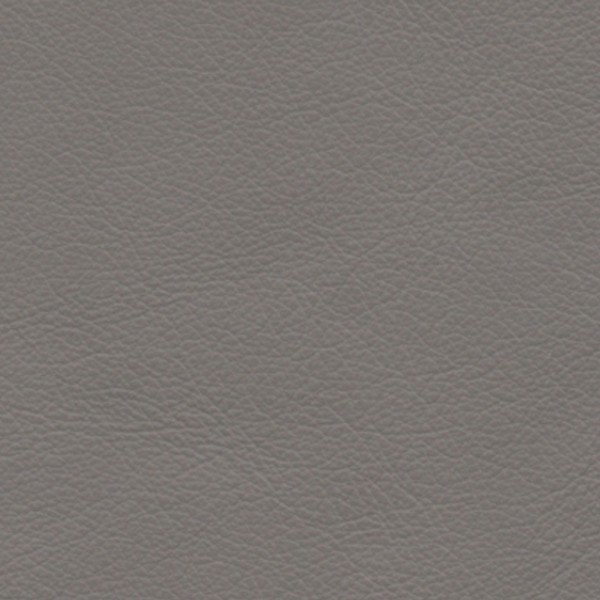 Light Grey 2010
